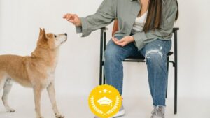 Lee más sobre el artículo Cupón Udemy: Una clase magistral completa de entrenamiento de mascotas | certificado acreditado con 100% de descuento por tiempo LIMITADO