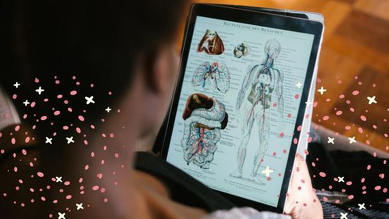 Cupón Udemy: Práctica de examen de anatomía y fisiología NCLEX con 100% de descuento por tiempo LIMITADO