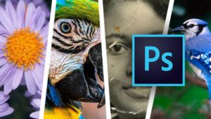 Lee más sobre el artículo Udemy Gratis en español: Adobe Photoshop para principiantes – Segunda parte