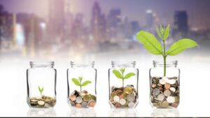 Lee más sobre el artículo Cupón Udemy: Startup Business | Cómo recaudar capital semilla con 100% de descuento por tiempo LIMITADO