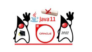 Lee más sobre el artículo Cupón Udemy: Aprendiendo Java | Exámenes de certificación de programador OCP Java 11 con 100% de descuento por tiempo LIMITADO