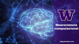 Lee más sobre el artículo Curso gratis de neurociencia computacional por la  Universidad de Washington