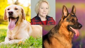Lee más sobre el artículo Cupón Udemy: Curso de entrenamiento canino con 100% de descuento por tiempo LIMITADO