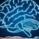 Udemy Gratis en español: Qué Pasa en tu Cerebro cuando Aprendes