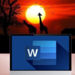 Udemy Gratis: Aprende Microsoft Word 365 por la noche