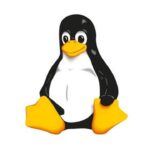 Udemy Gratis: Conceptos básicos de Linux: todo lo que necesita saber para comenzar (2023)