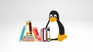Lee más sobre el artículo Cupón Udemy: Los fundamentos de la línea de comandos de Linux con 100% de descuento por tiempo LIMITADO