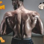 Udemy Gratis: Clase magistral sobre la importancia de los músculos y las proteínas (TM)
