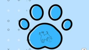 Lee más sobre el artículo Udemy Gratis en español: Curso básico Rutinas de baño(necesidades) para mi mascota.