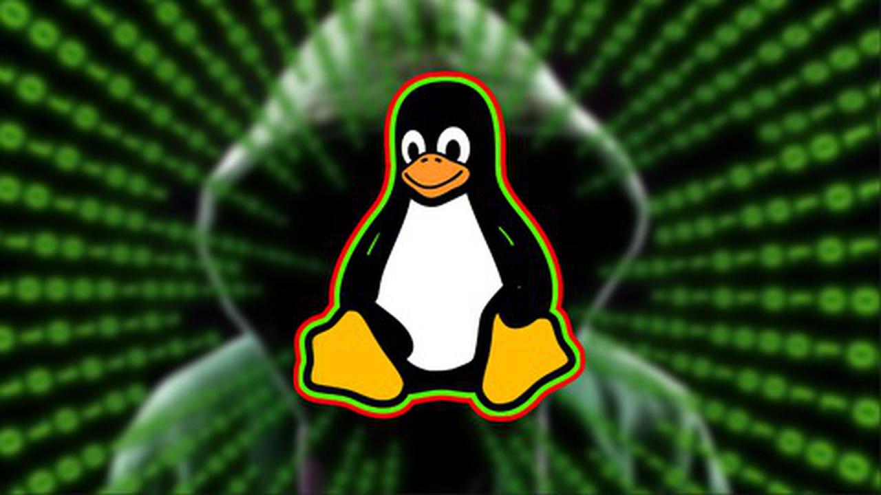 ¡Conviértete en un profesional de Linux con la guía completa de Dominar Linux!