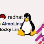 Udemy Gratis: Instalación de Red Hat Enterprise Linux y derivados
