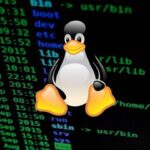 ¡Aprende a escalar privilegios en máquinas Linux como un hacker ético!