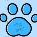 Udemy Gratis: Curso básico Rutinas de baño(necesidades) para mi mascota.