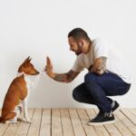 Udemy Gratis: Adiestramiento de mascotas – Adiestramiento de obediencia para perros