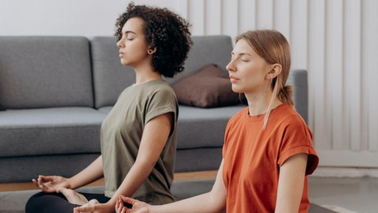 Udemy Gratis: Transforma tu vida con la meditación de atención plena ...