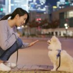 Udemy Gratis: Negocio de paseo de perros La guía perfecta para nuevos emprendedores