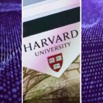 Harvard comparte un Curso de Inteligencia Artificial con Python ¡Gratis!