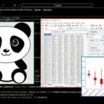 Udemy Gratis: Introducción a Pandas con Python (Data Science)