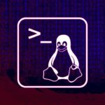 Aprende a usar la terminal de Linux desde cero con este curso gratuito