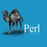 Curso de Perl en Udemy: 1000 becas completas por tiempo limitado ¡Aprovéchalas!