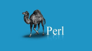 Lee más sobre el artículo Curso de Perl en Udemy: 1000 becas completas por tiempo limitado ¡Aprovéchalas!