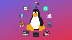 Lee más sobre el artículo Fundación Linux lanza curso online gratis sobre el popular sistema operativo