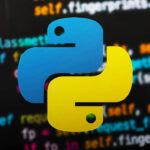 ¿Quieres programar? Este curso de Python para novatos es ideal para comenzar