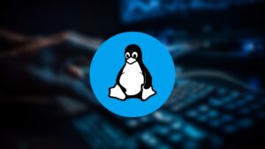 Lee más sobre el artículo Optimiza tu Experiencia en Informática con Linux: Aprende en este Curso Gratis y Destaca en el Campo