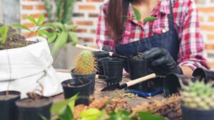 Lee más sobre el artículo Huerto en casa: Curso gratis te guía paso a paso para cultivar tus propios alimentos