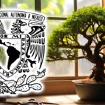 ¿Te gustan los bonsáis? La UNAM ofrece un curso gratuito para aprender a cultivarlos