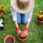 Aprende jardinería desde cero con este Curso online y gratuito