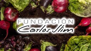 Lee más sobre el artículo ¿Cómo empezar un huerto urbano? Fundación Carlos Slim ofrece curso gratuito de agricultura