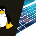 Consigue tu Cupón Udemy y Accede al Curso de Línea de Comando de Linux sin Costo