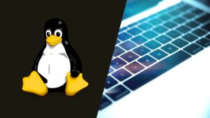 Lee más sobre el artículo Consigue tu Cupón Udemy y Accede al Curso de Línea de Comando de Linux sin Costo