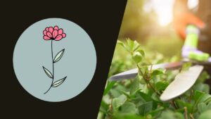 Lee más sobre el artículo Aprende los Conceptos Básicos de la Jardinería y Empieza tu Propio Jardín con este Curso Gratis