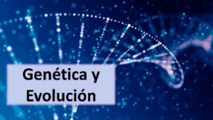 Lee más sobre el artículo Curso gratuito sobre genética y evolución: Aprende en línea con la Universidad Autónoma de Madrid