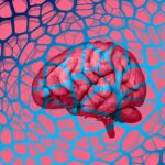 ¿Interesado en la Neurociencia? Inscríbete gratis en el curso de la Universidad de Duke en línea