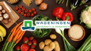 Lee más sobre el artículo ¿Cómo mejorar tu salud intestinal? Curso gratuito de Nutrición y Microbioma Humano de la Universidad de Wageningen