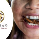 La Universidad de Taiwán lanza un curso gratuito que te enseña a comer insectos