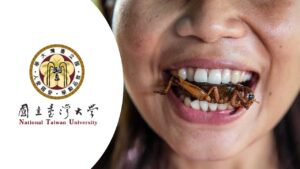 Lee más sobre el artículo La Universidad de Taiwán lanza un curso gratuito que te enseña a comer insectos