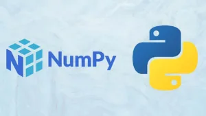 Lee más sobre el artículo Aprende NumPy en 4 horas: El curso imprescindible para analistas de datos