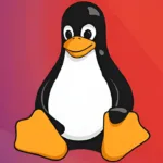 ¿Eres programador? No te pierdas este curso gratuito de Linux