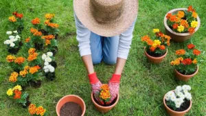 Lee más sobre el artículo Aprende jardinería gratis: Curso online te convierte en experto en 3 semanas