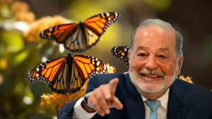 Lee más sobre el artículo Fundación Carlos Slim ofrece curso gratuito sobre la mariposa monarca