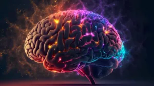 Lee más sobre el artículo Harvard ofrece curso gratuito de neurociencia online: Descubre cómo funciona tu cerebro