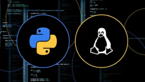 Lee más sobre el artículo Este Curso Gratuito con 28 horas de contenido te enseña hacking ético usando Python y Linux