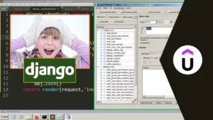 Lee más sobre el artículo ¿Quieres un aumento? Este curso gratuito de Django en Udemy puede ser tu mejor inversión
