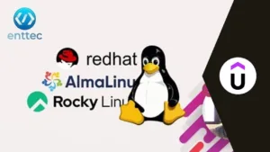 Lee más sobre el artículo Sorprendente curso gratuito de Udemy enseña a instalar Red Hat Enterprise Linux desde cero