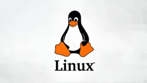 Lee más sobre el artículo Suma Linux a tu CV: Curso oficial gratuito incluye certificación profesional